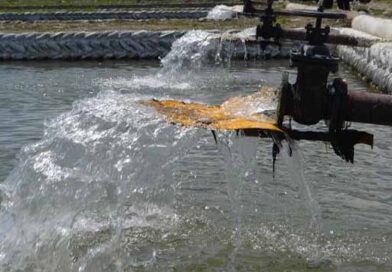 სატბორე მეურნეობა