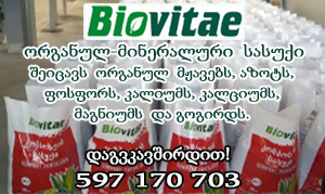 ბიოვიტაე