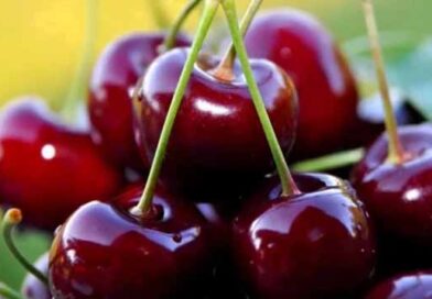 ბლის წარმოების ტექნოლოგიები