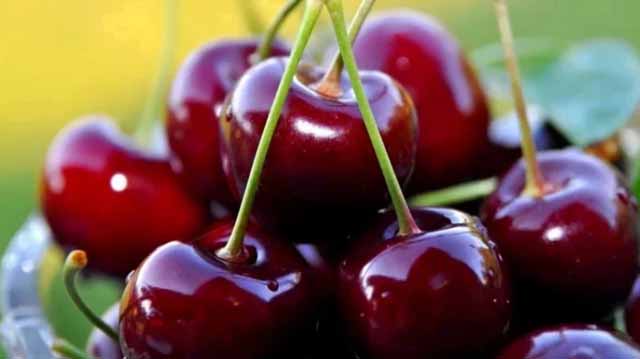 ბლის წარმოების ტექნოლოგიები