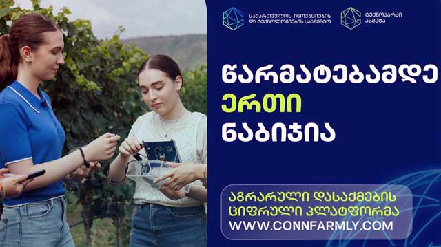 დები ნინო და მარიამ სვიმონიშვილები