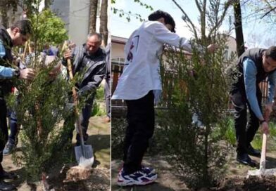 დედამიწის დღე