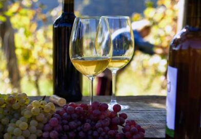 ღვინის ხარისხი 2026 წელი