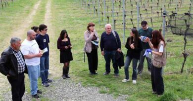 ჯიღაურია ფალსდკფჯასლდკფჯასლდკფჯას