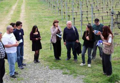 ჯიღაურია ფალსდკფჯასლდკფჯასლდკფჯას