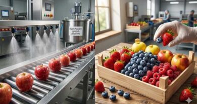 ხილის შენახვა