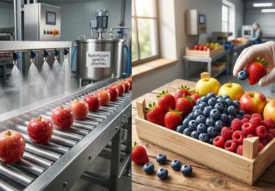 ხილის შენახვა