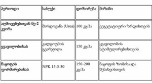 კიტრი წარმოების სრული სახელმძღვანელო