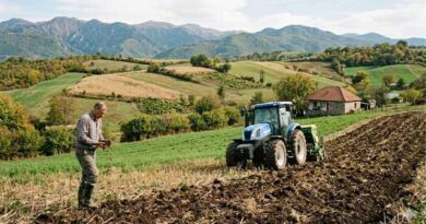 ნიადაგის რეგენერაცია
