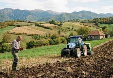 ნიადაგის რეგენერაცია