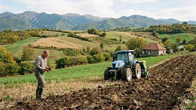 ნიადაგის რეგენერაცია