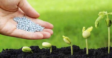 პესტიციდები პესტიციდები ლკადლადლფკალსდკფალსდფალსდფალსდჯკფლაკსდჯფლკასდფკლ