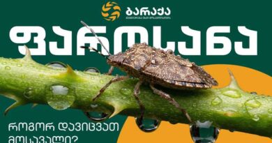 ფაროსანა