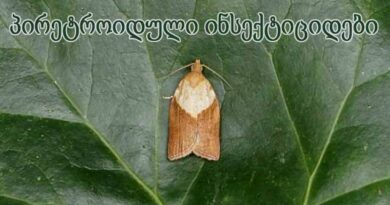 პირეიტროიდული ინსექტიციდები