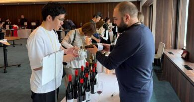 ქართული ღვინის წარდგენა იაპონიაში