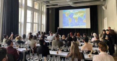 ქართული ღვინის წარდგენა სტამბულში