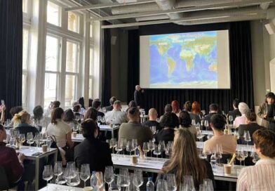 ქართული ღვინის წარდგენა სტამბულში