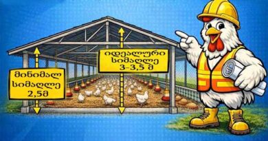 ქათმების ფერმის სწოად დაპროექება