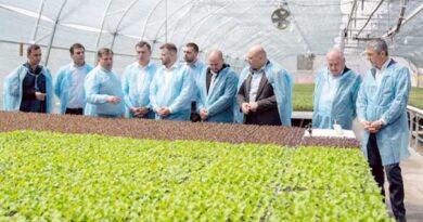 საჩითილე აჭარა