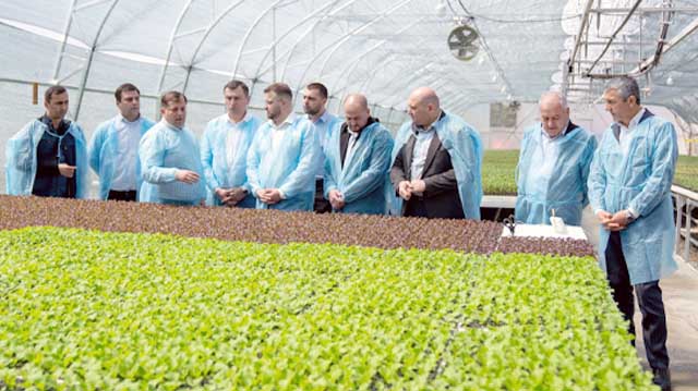 საჩითილე აჭარა