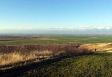 საძოვრების გადახვნა