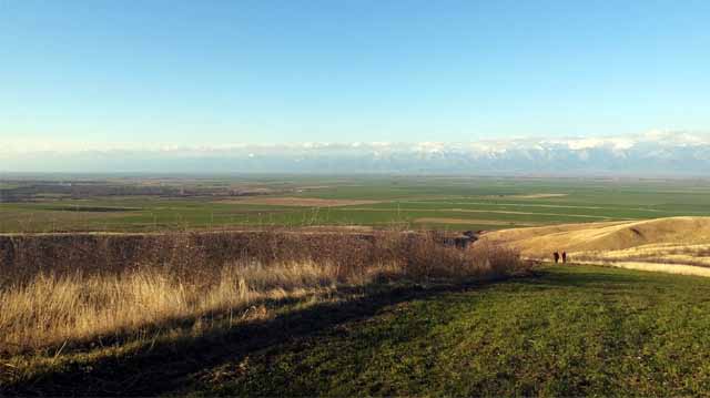 საძოვრების გადახვნა