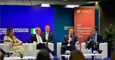 საქართველო მზად არის 2027 წელს OIV ის მსოფლიო კონგრესს უმასპინძლოს