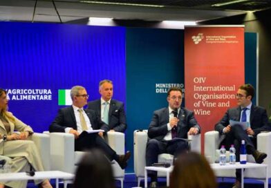 საქართველო მზად არის 2027 წელს OIV ის მსოფლიო კონგრესს უმასპინძლოს