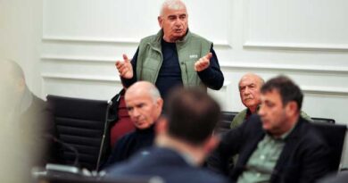 შეხვედრა მეხორბლეებთან