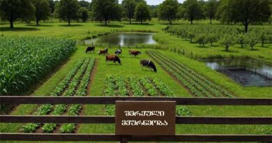 შერეული ფერმა