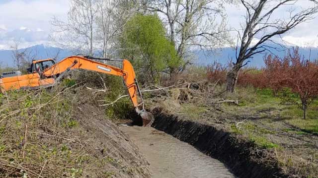 სოფელ ჭიაურში კოლექტორი