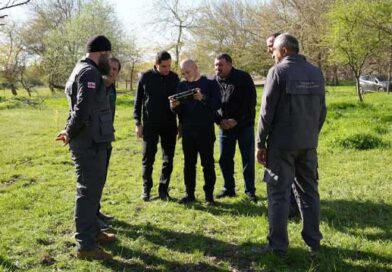 ჭალის ტყის აღდგენის პროექტი