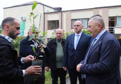ოზურგეთი ანასეული