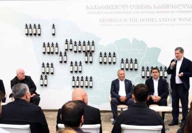 პარლამენტარები ჯიღაურას ბაზაზე