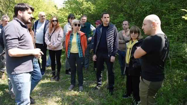 ტყის აღდგენის პროექტი
