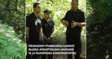 გურიაში ტყის აღდგენის მასშტაბური პროექტი მიმდინარეობს