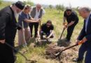 მახათას სამონსატრო კომპლექსის მიმდებარე ტერიტორიაზე დარგვის აქცია გაიმართა