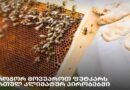 როგორ მოვუაროთ ფუტკარს რთულ კლიმატურ პირობებში