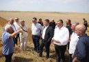ალოობა 2026 შირაქი