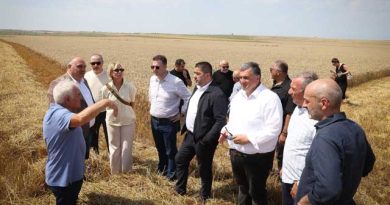 ალოობა 2026 შირაქი