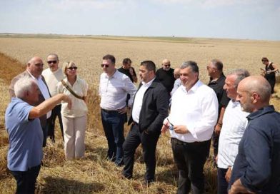 ალოობა 2026 შირაქი