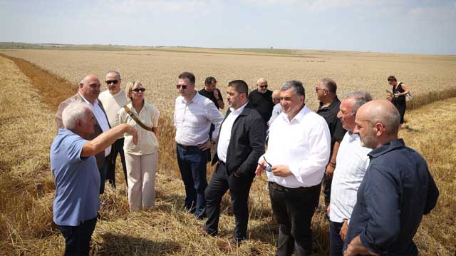 ალოობა 2026 შირაქი