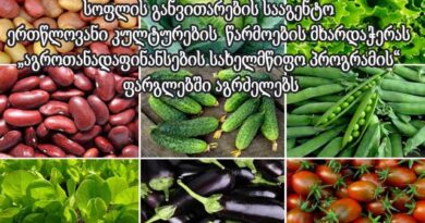 ერთწლიანი კულტურების მხარდაჭერა