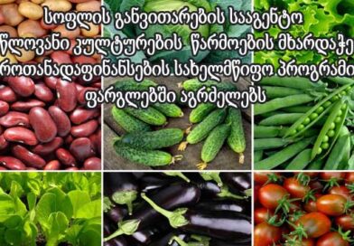 ერთწლიანი კულტურების მხარდაჭერა