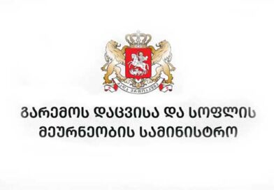 საინფორმაციო ტექნოლოგიების სააგენტო