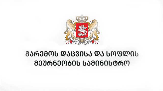 საინფორმაციო ტექნოლოგიების სააგენტო