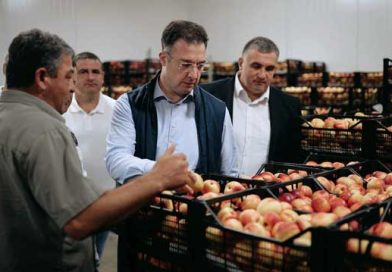 გურჯაანი ვაშლატამა