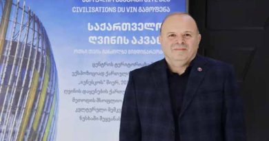 ღვინის ხარისხი