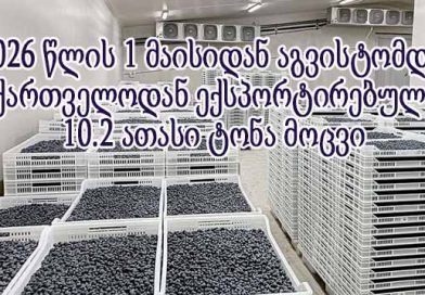მოცვის ექსპორტი ლკჯადლსკფჯ