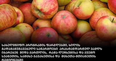 არასტანდარტული ვაშლი